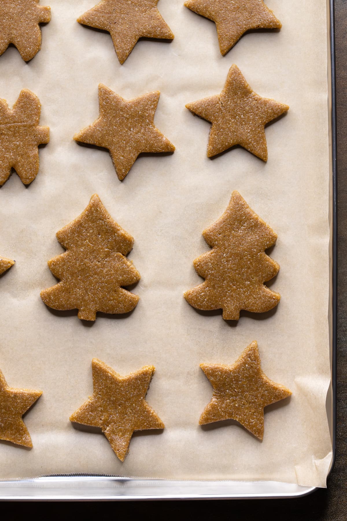 Gingerbread cookie dough cut into Christmas tree and star shapes